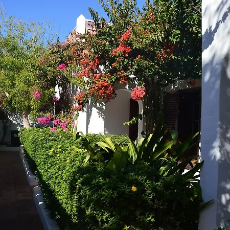 La Concha Del Mar